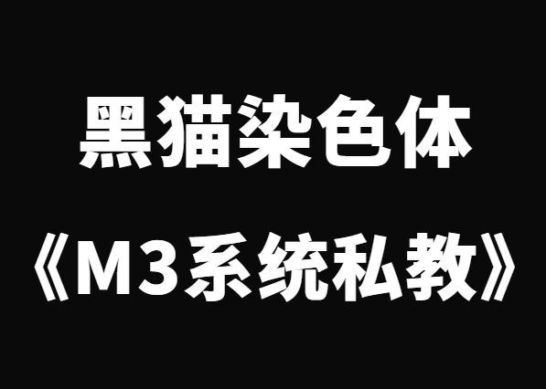 黑猫《终身制M3系统私教内部课程》-恋爱猫社