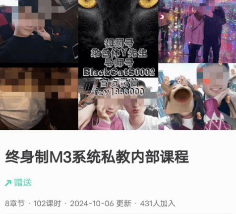 黑猫《终身制M3系统私教内部课程》2024-恋爱瞄社